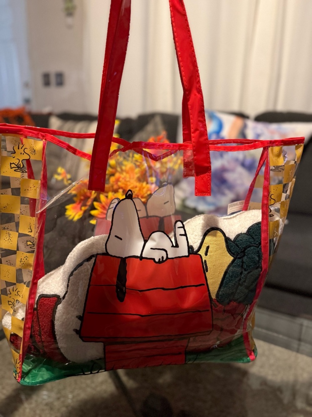 Snoopy Clear Tote Bag with Red Trim $ Pillow
